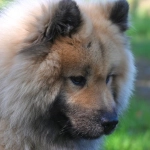 Бездепозитные бонусы казино для садоводов и огородников