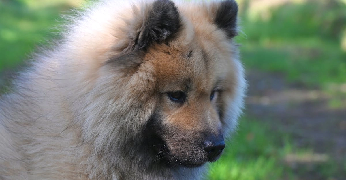 Бездепозитные бонусы казино для садоводов и огородников