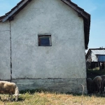 Виртуальная ферма и садоводство в игровом формате