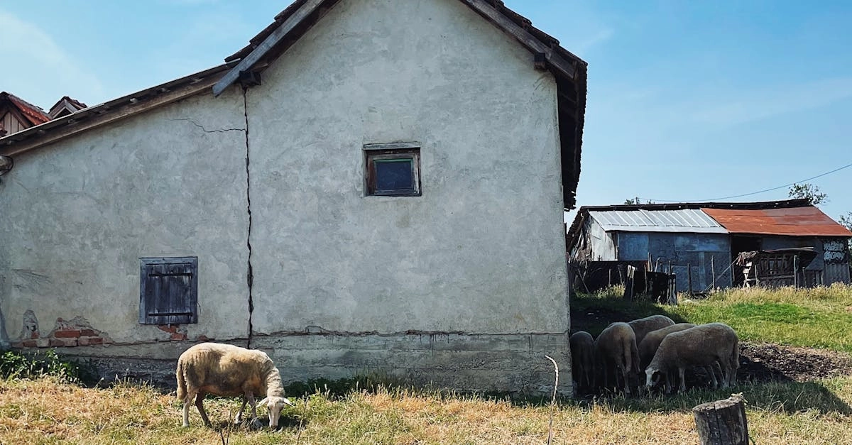 Виртуальная ферма и садоводство в игровом формате