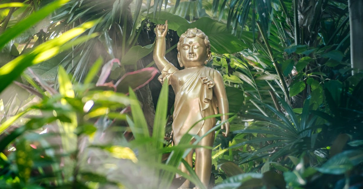 Мифологические мотивы Зевса и Аида в современном садоводстве