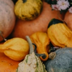 Золотые принципы садоводства и выращивания урожая на огороде