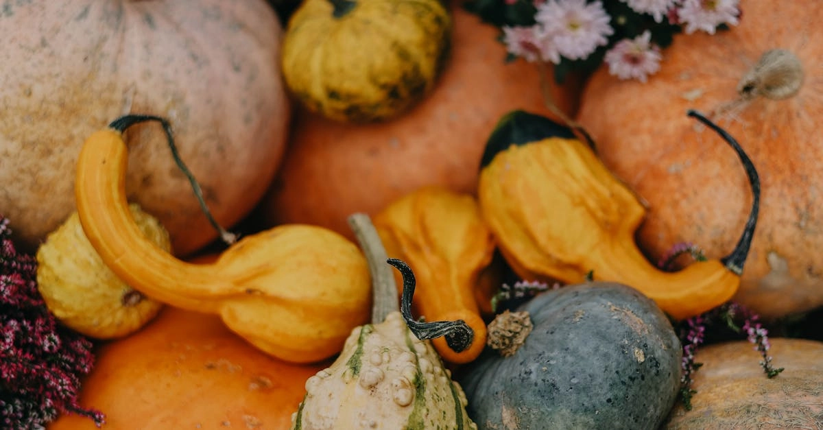 Золотые принципы садоводства и выращивания урожая на огороде