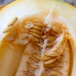 Sweet Bonanza слот игра с фруктами и ягодами