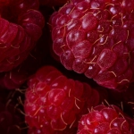 Виртуальный сад со сладкими фруктами Sweet Bonanza 1000