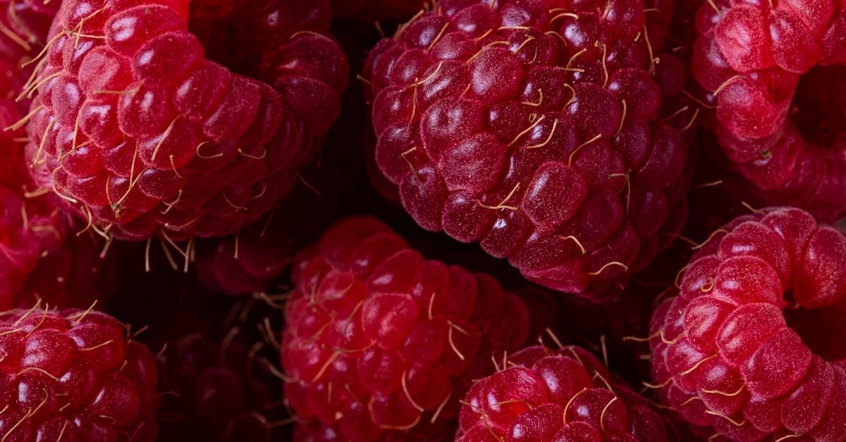 Виртуальный сад со сладкими фруктами Sweet Bonanza 1000